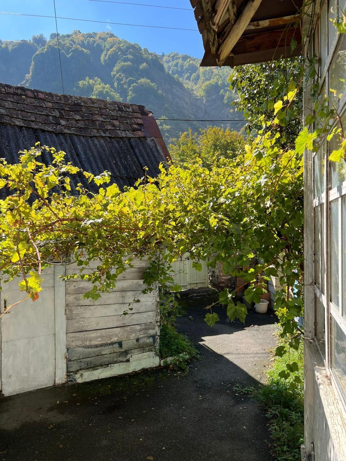 Guesthouse Ilisu Qax Exterior foto